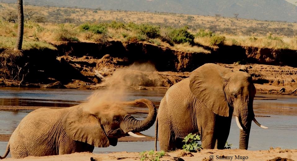 Kenia Trekking und im Anschluss Elefanten im Samburu, Safari Kenia